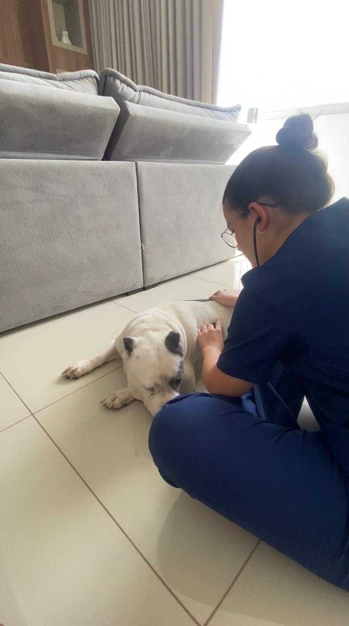 Foto da Galeria